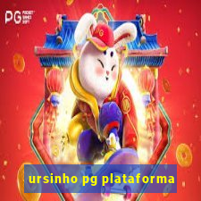 ursinho pg plataforma